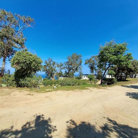 Calvi Mobil-Home Neuf Particulier Sur Camping Lumio  Esterno foto